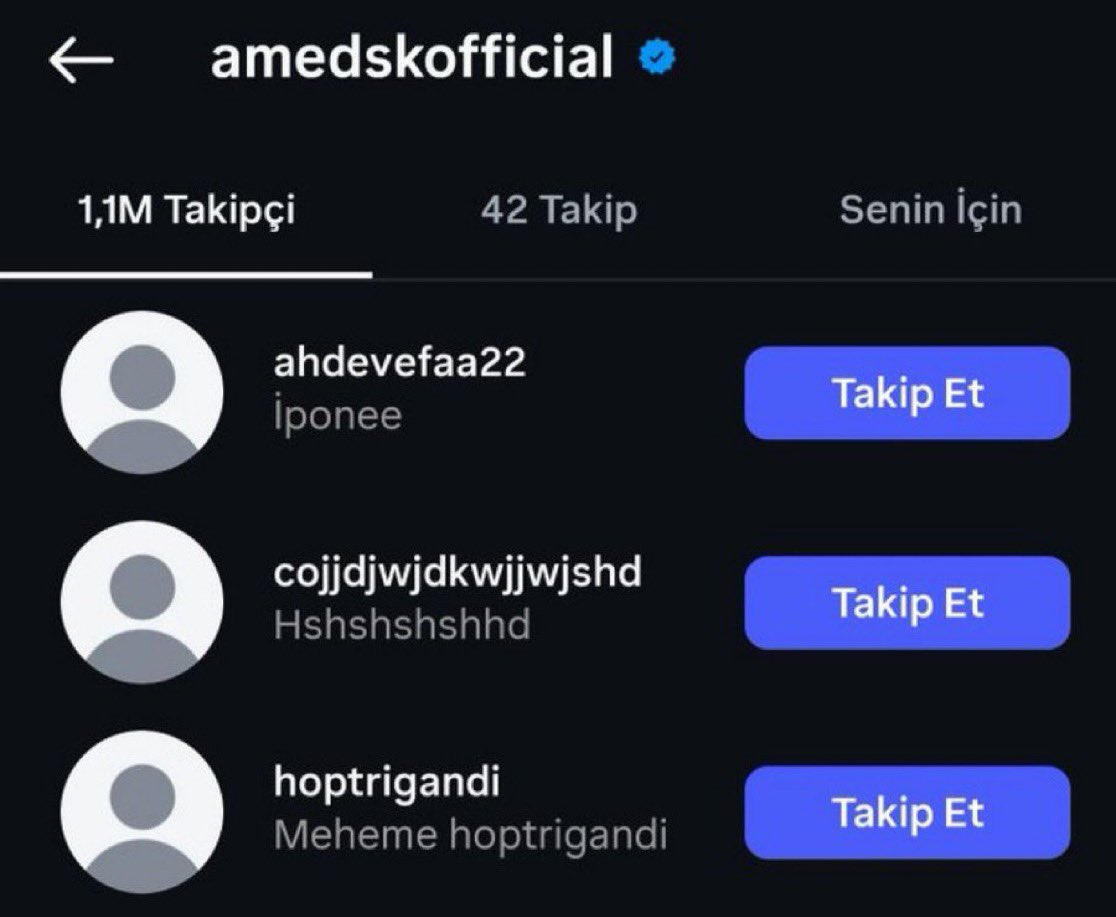TS tweet media