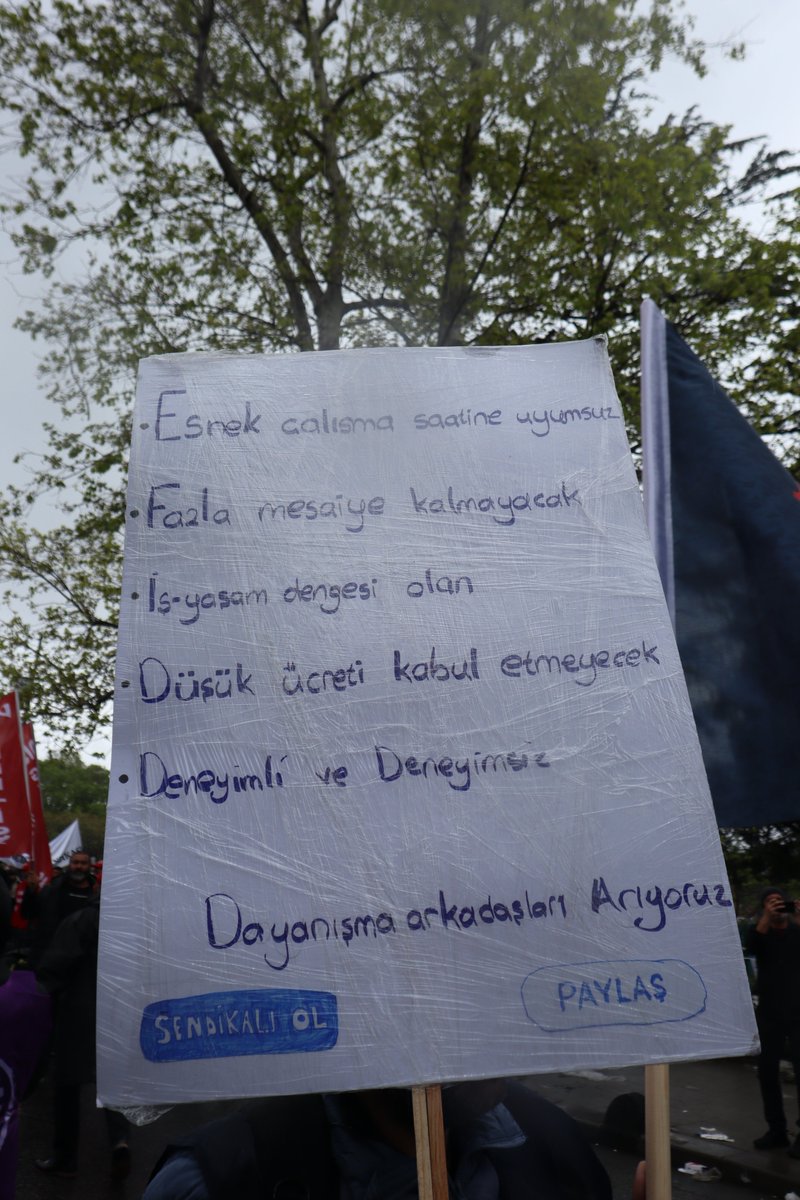bilisimsenorg tweet media