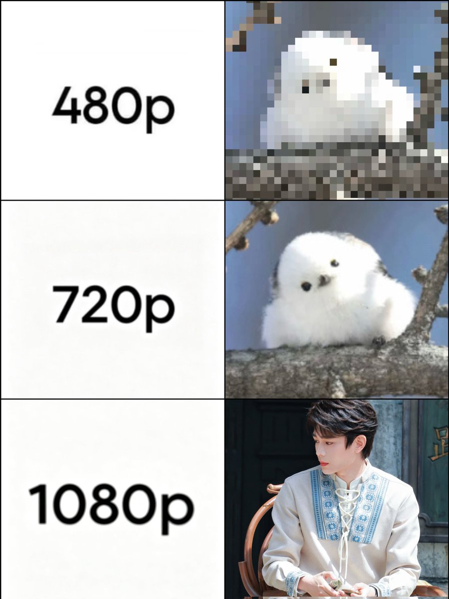 라키시스 ˙Ⱉ˙ tweet media