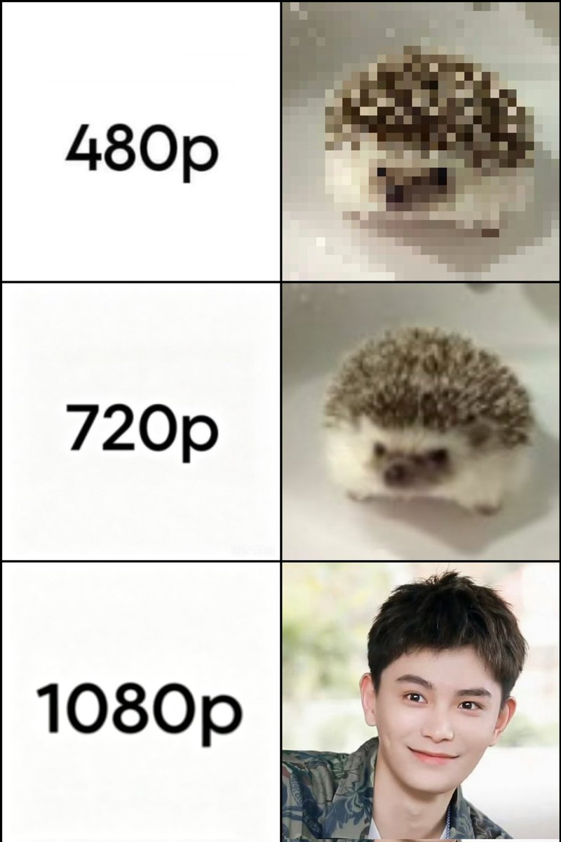 라키시스 ˙Ⱉ˙ tweet media