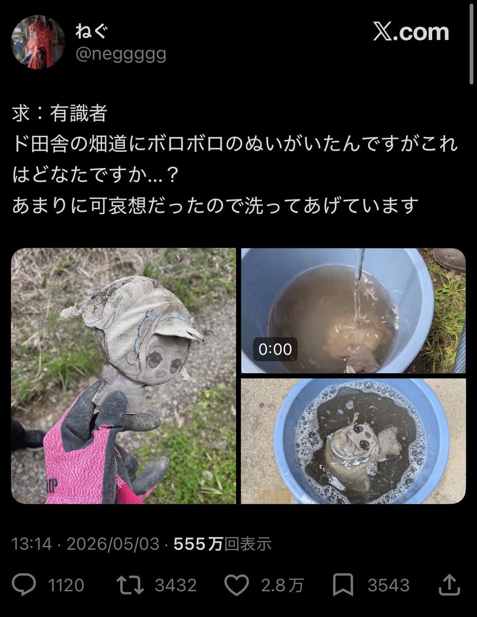 ぬいの人生 tweet media