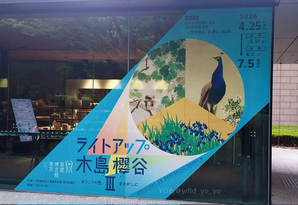 YO☆ tweet media