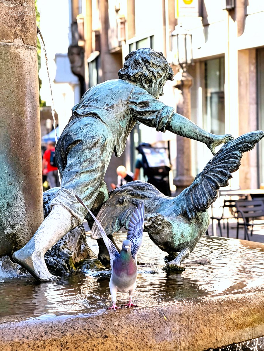 Tanay_Uzgan's tweet image. History
Geschichte 

#photography #photooftheday #instagood #streetphotography #bokeh #creativephotography #fotografie #deutschland #bonn #explorepage