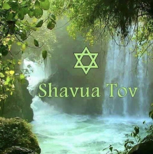Flora tweet media
