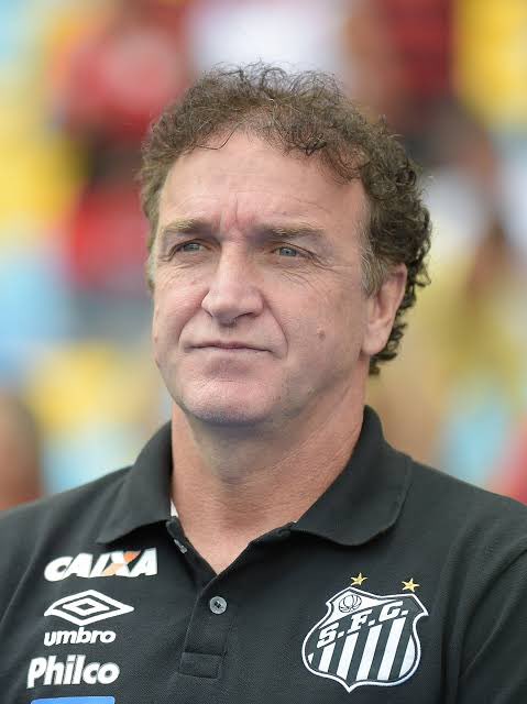 Pérolas da Imprensa Esportiva tweet media