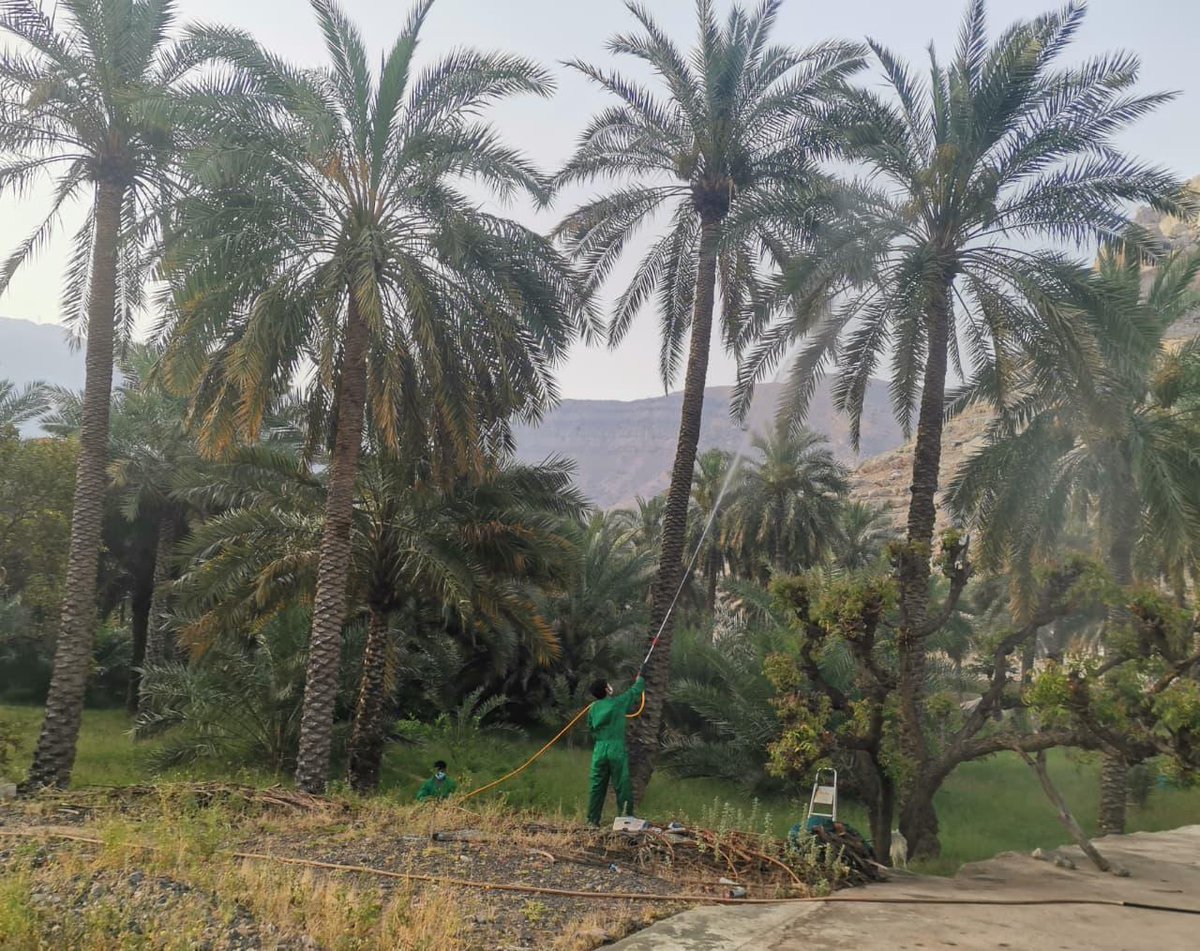 الثروة الزراعية والسمكية وموارد المياه بمسندم tweet media