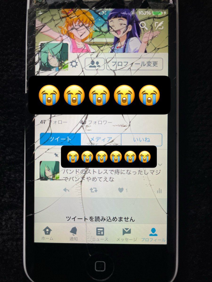 ぽんちゃん tweet media