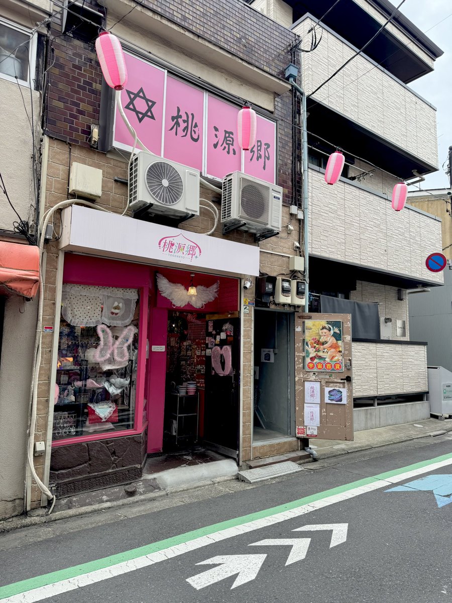 たぬきゅん tweet media