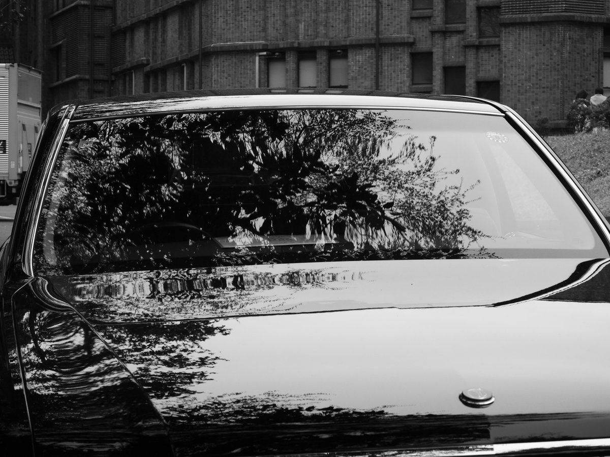 99goodnight's tweet image. #blackandwhite #photography #dailyphoto #白黒写真 #モノクロ