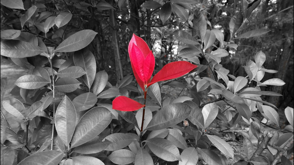 Bhavesh Kansara tweet media