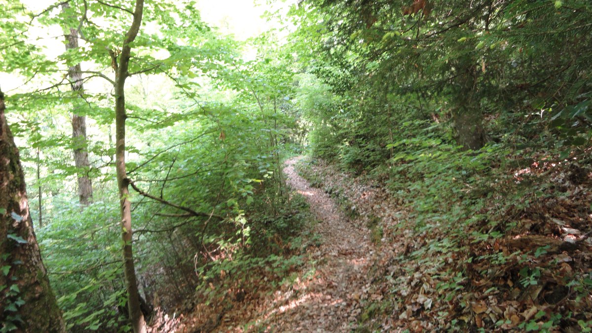 TheFreeGeekette's tweet photo. 02.05.2026 Villeneuve - Balade des Hameaux - 2h30
Balade entre vigne et forêt avec vue sur le lac et les montagnes...😘👣☀️
https://t.co/ubGxcnoXyO
#petitbonheur #vaud #villeneuve #randonnée https://t.co/AwpYhvI6cG