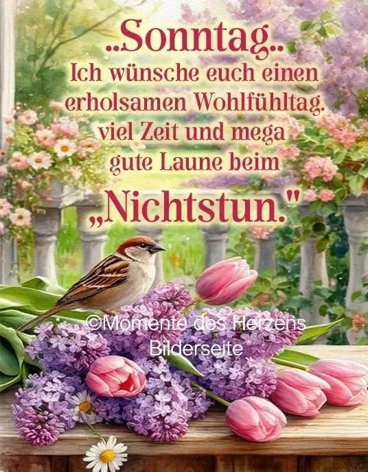 Püppi 🛟⚓️❤️🛟⚓️❤️ tweet media