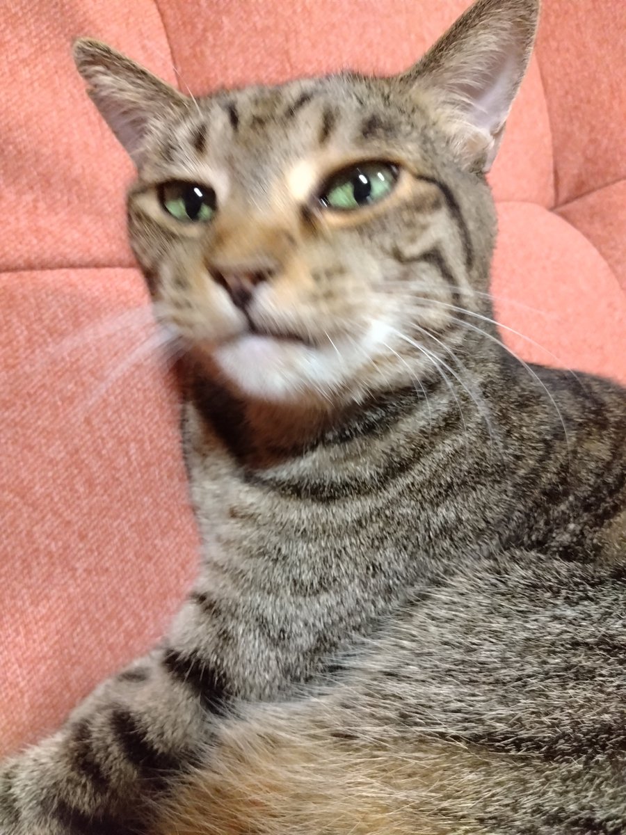 小三郎 tweet media