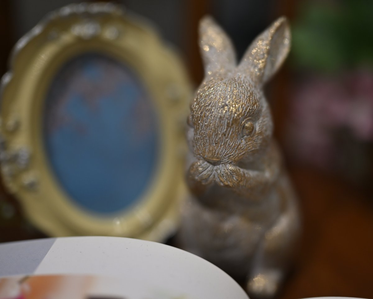 MAXPaPa1118's tweet image. １枚目 Z 70-200mm f/2.8 VR S II
② Z 35mm f/1.2 S
③ Z 14-24mm f/2.8 S
④ Z 28mm f/2.8
#ニコン #Z5の2 #Z
