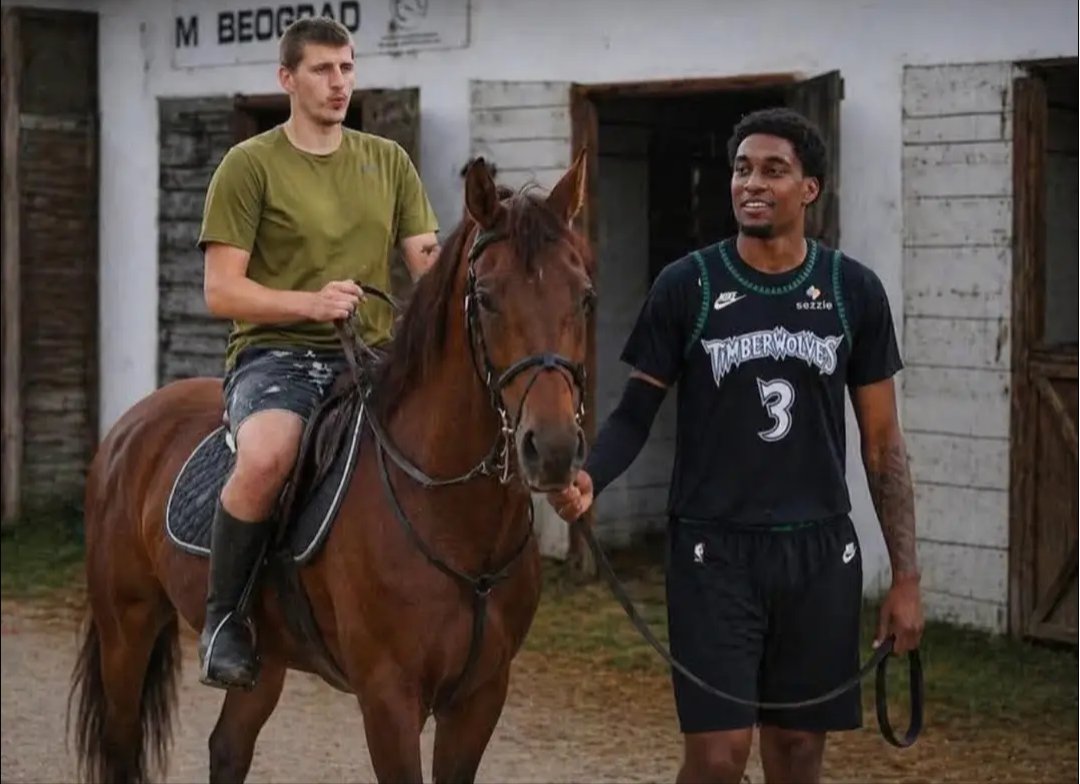T'Wolves Nation FRANCE tweet media