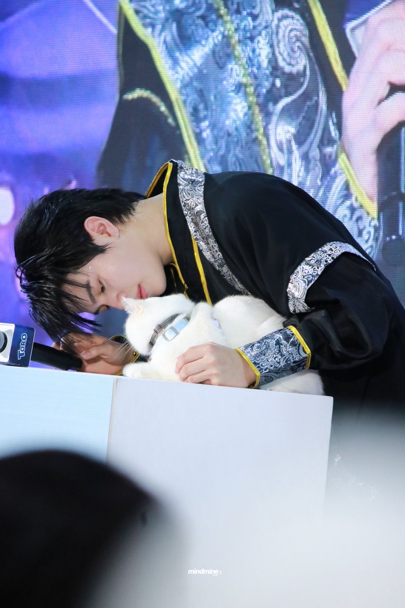 ♡‧⁺𝙈𝙞𝙣𝙙 𝙈𝙞𝙣𝙚🐶⁺ tweet media