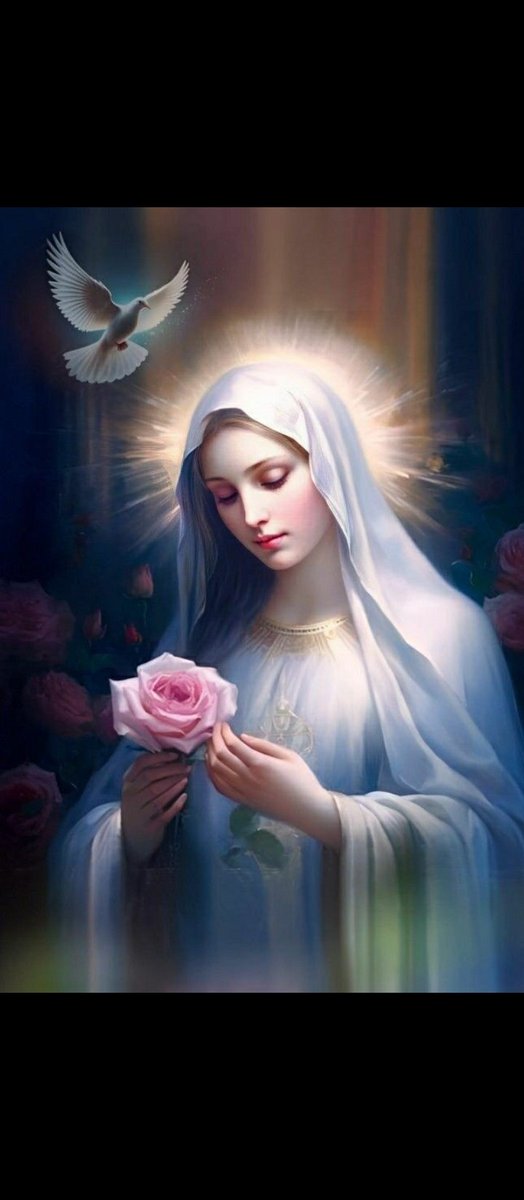 ANGELES AGA VIOLETA tweet media