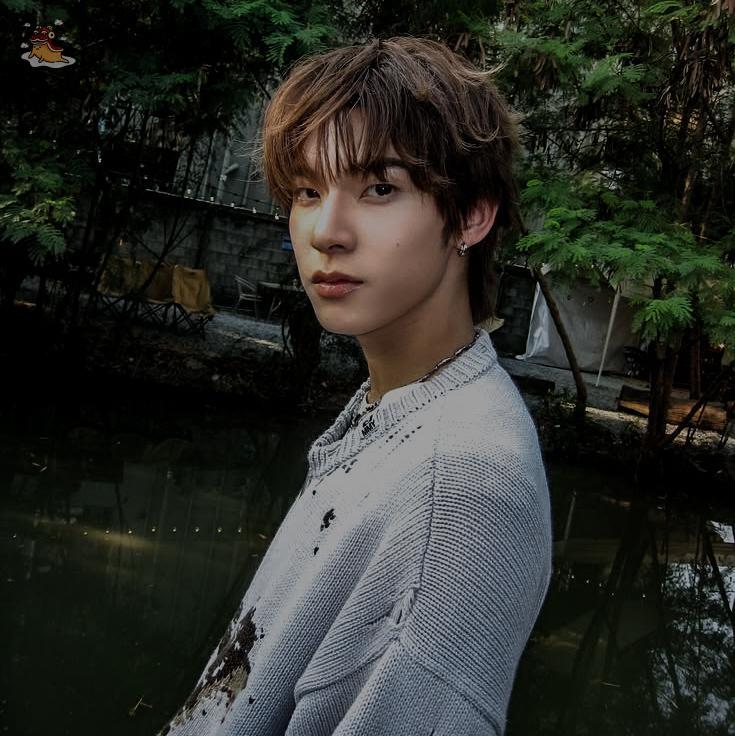 SOC-IE 💛 ˚☽˚.⋆ tweet media