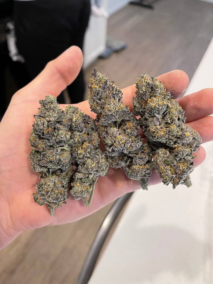active_drops's tweet image. Dallas plug get near ⛽️
#dallasmeets #dallasarea #dallasplug #dallasgas #dallasfreaks #dallasweed