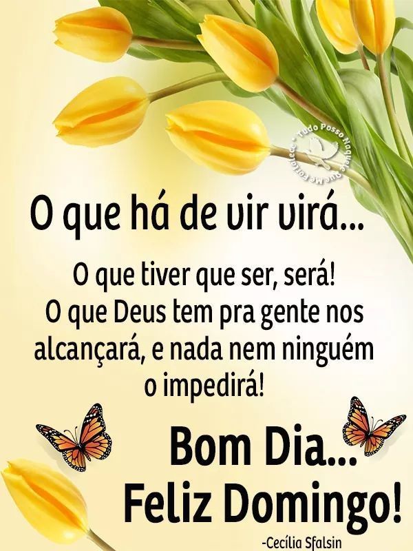 Leonor Monteiro tweet media