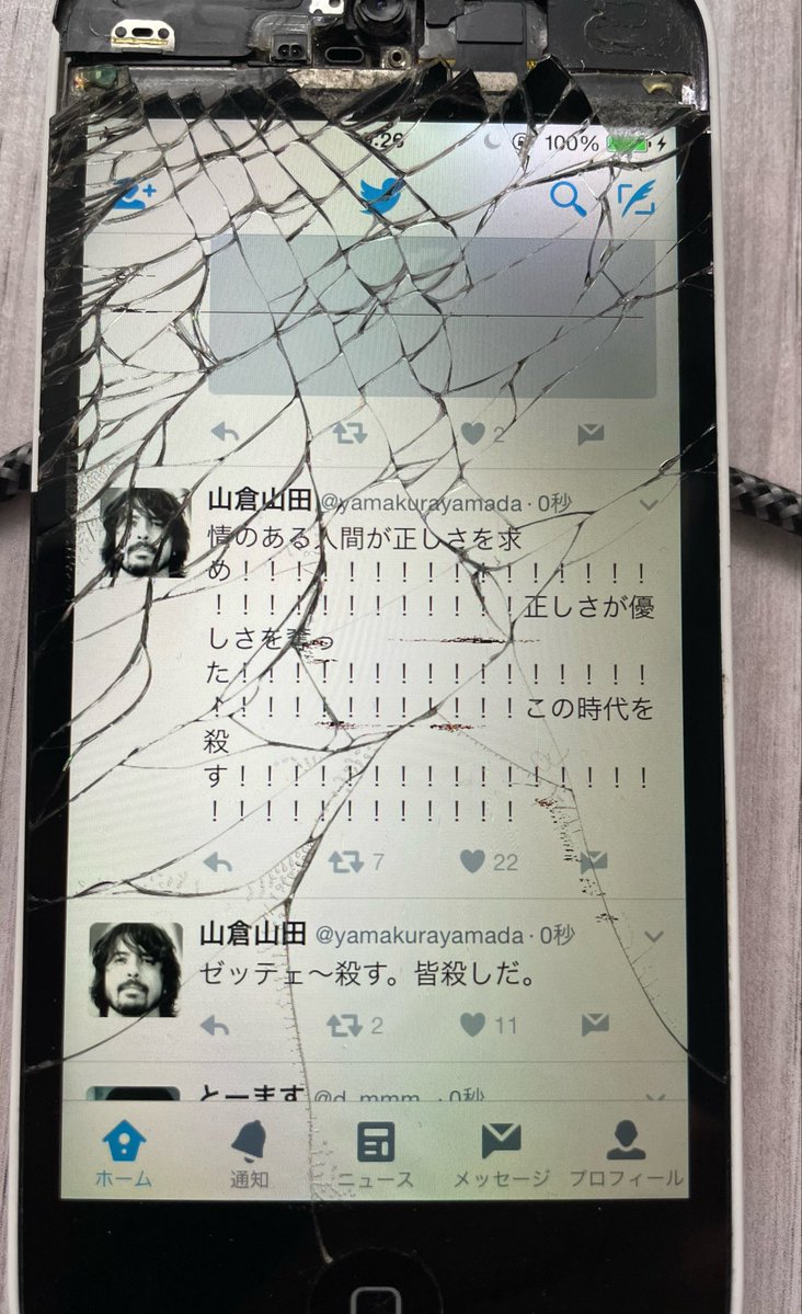 ぽんちゃん tweet media