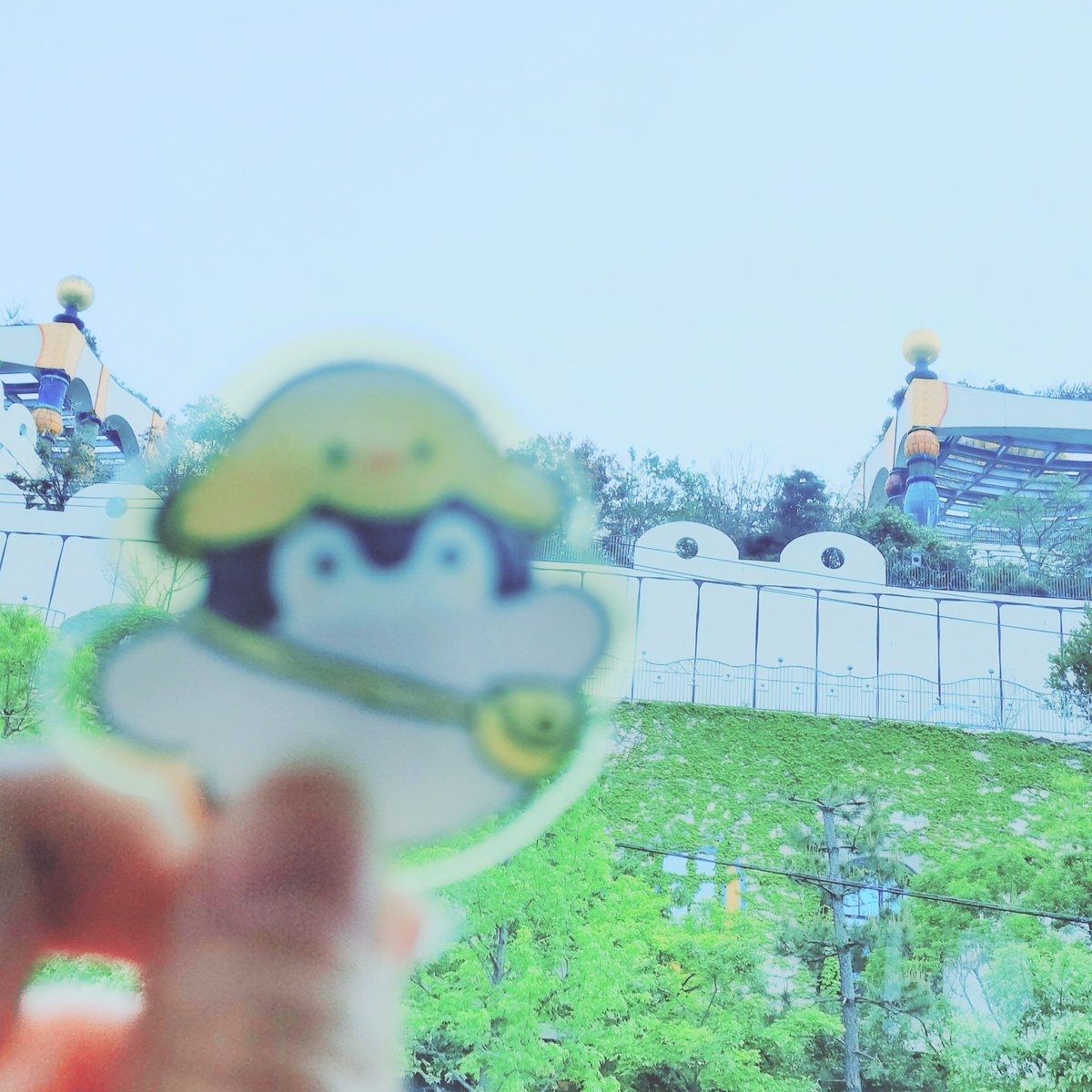 HIMU70096862's tweet photo. 今年のゴールデンウィークのキラキラは舞洲のネモフィラ✨️青い絨毯と風の音、海の匂い、とても癒されたなぁ(●´ω｀●)途中有名な施設をパチリ。他の方も言ってたけど、ほんまにコウペンちゃんにしか見えないのだなぁ🐧
#ネモフィラ　#舞洲 https://t.co/WXdJWs0ubS