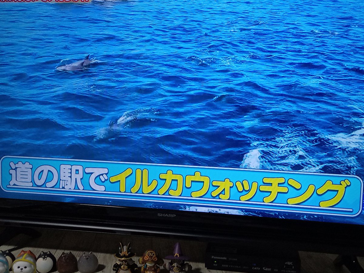 鳴門凛々 tweet media