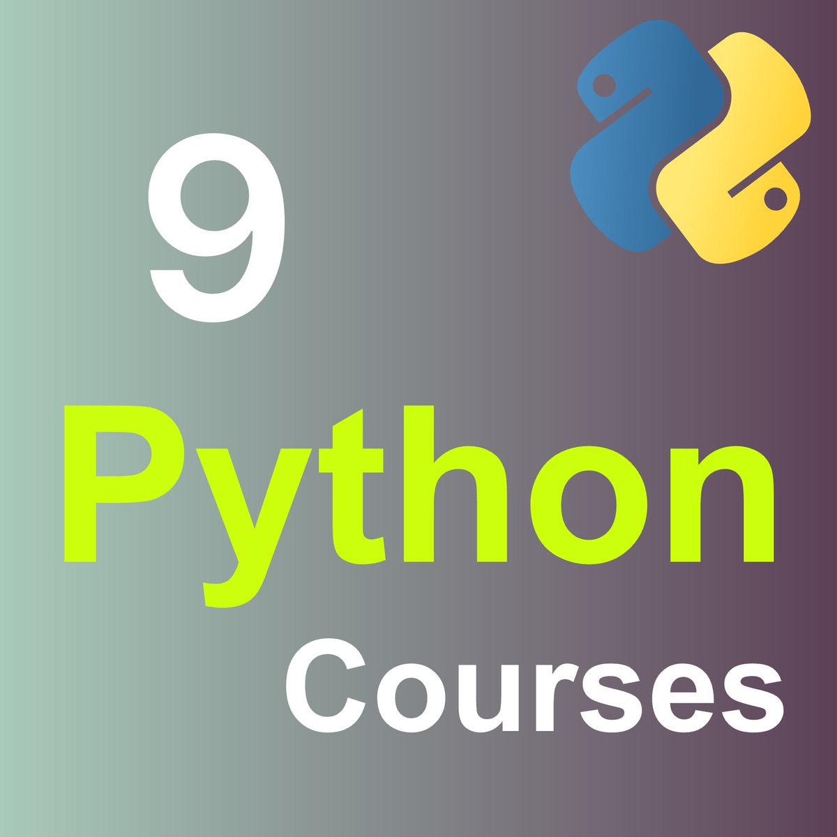 Python Space tweet media