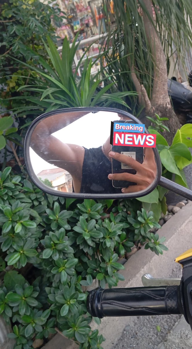 Msr.msbzt tweet media