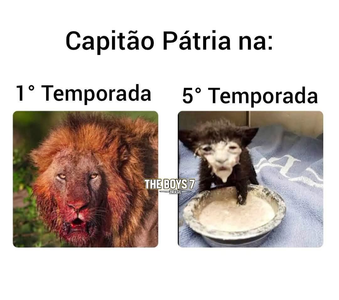 CharDeCamomila tweet media