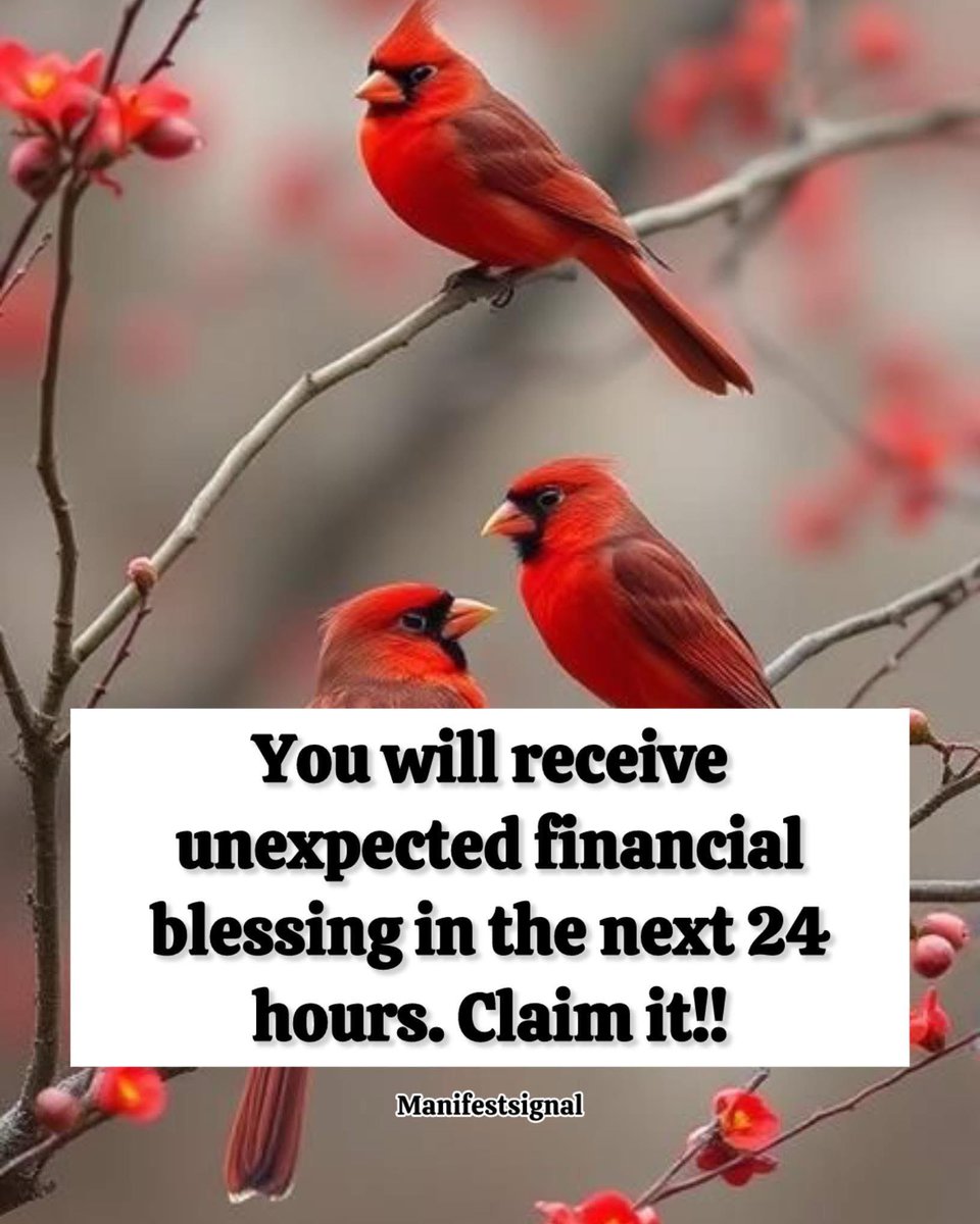 Law Of Attraction Coach tweet media