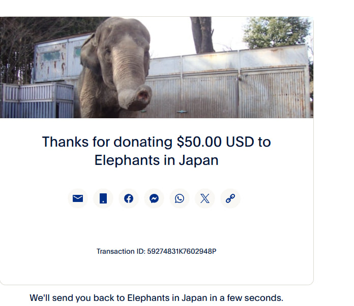 Miyako the elephant has been kept at the Utsunomiya Zoo in Japan for 52 years, alone. 

She was brought there from Thailand when she was just 6 months old. She obviously exhibits stress via her behavior, gripping and shaking the steel bar in her outdated enclosure with her teeth.