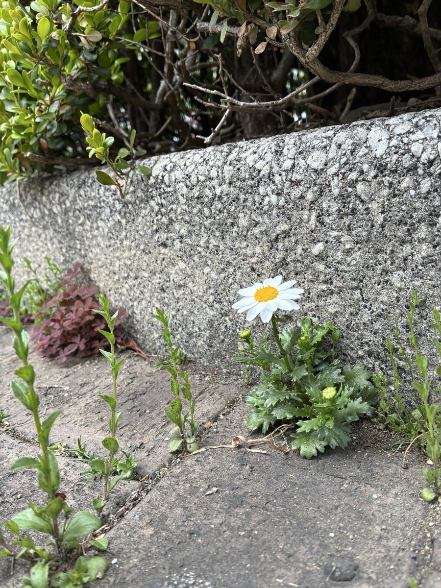 pooroletariat's tweet image. #photo #photography