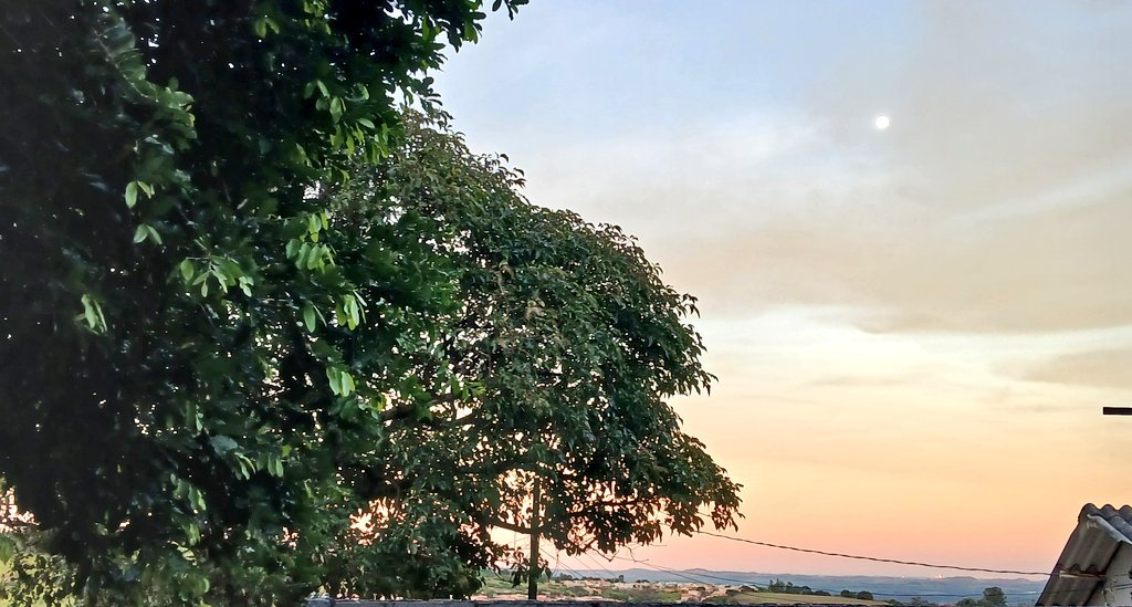 Caminhos do Sul🧉🌲 tweet media
