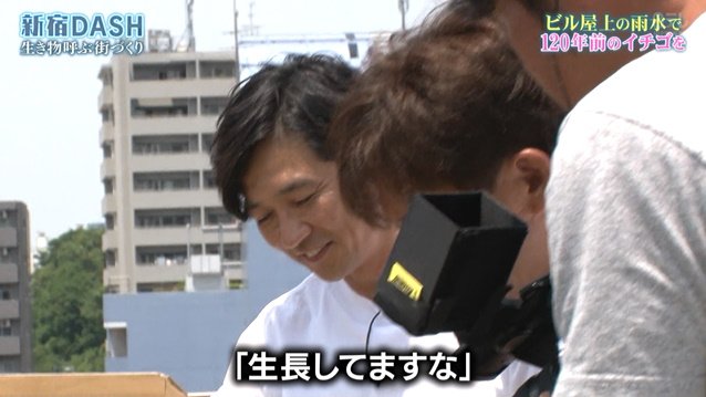 閃矢亮晃(せんや りょうこう）※念の為、ＨＮですよｗ tweet media