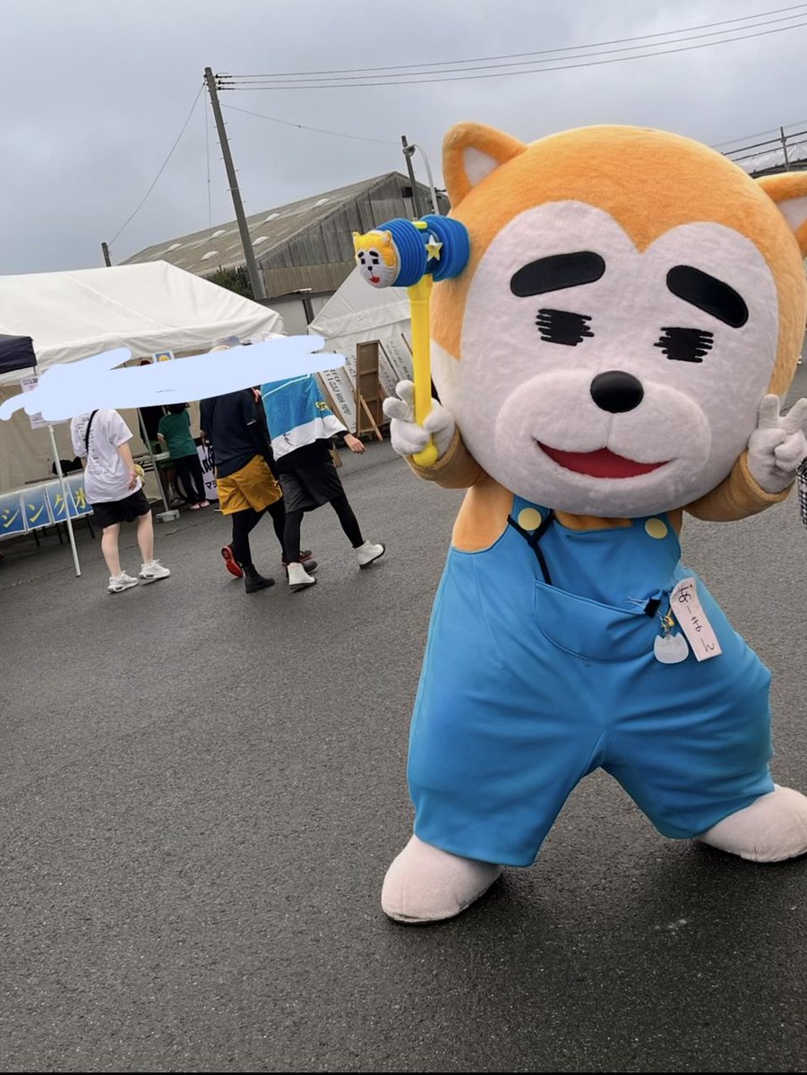 一昨年の男鹿の時。港の公園のとこで下コンクリだったからこんな感じの床にビバラもなるんかな、ステージが多いから移動でばてないようにしないと。
5.6は前方にいかつくて大きいベテラン多そうだから大丈夫そうかな👌楽しみ！！
