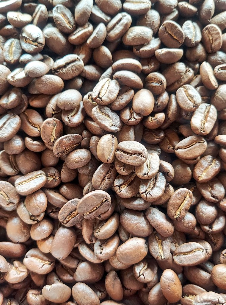 cafeobasan's tweet photo. エチオピアイルガチェフナチュラル

ベリー感が満載で、珈琲って元々果物なんだなぁと素直に感じさせてくれる豆でした(*^^*)

今日はGW特売の売場に立ちました
たくさんのお客さまとお話できて、とても楽しかった https://t.co/ESnyeE3Ben