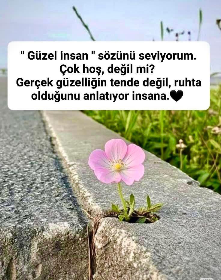 🇹🇷❣️elif___gibi❣️🇹🇷 tweet media