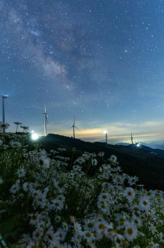 오로라 tweet media