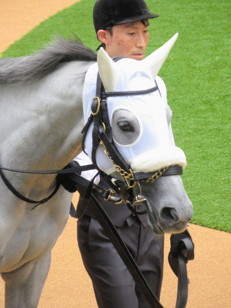やまぴ🐎 tweet media