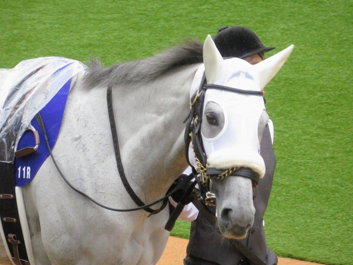 やまぴ🐎 tweet media