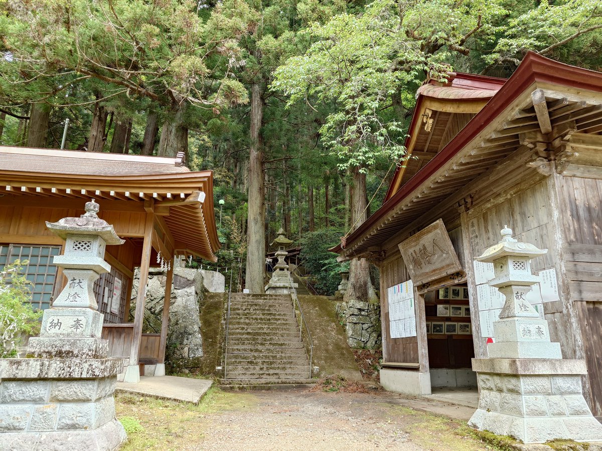 天才 tweet media