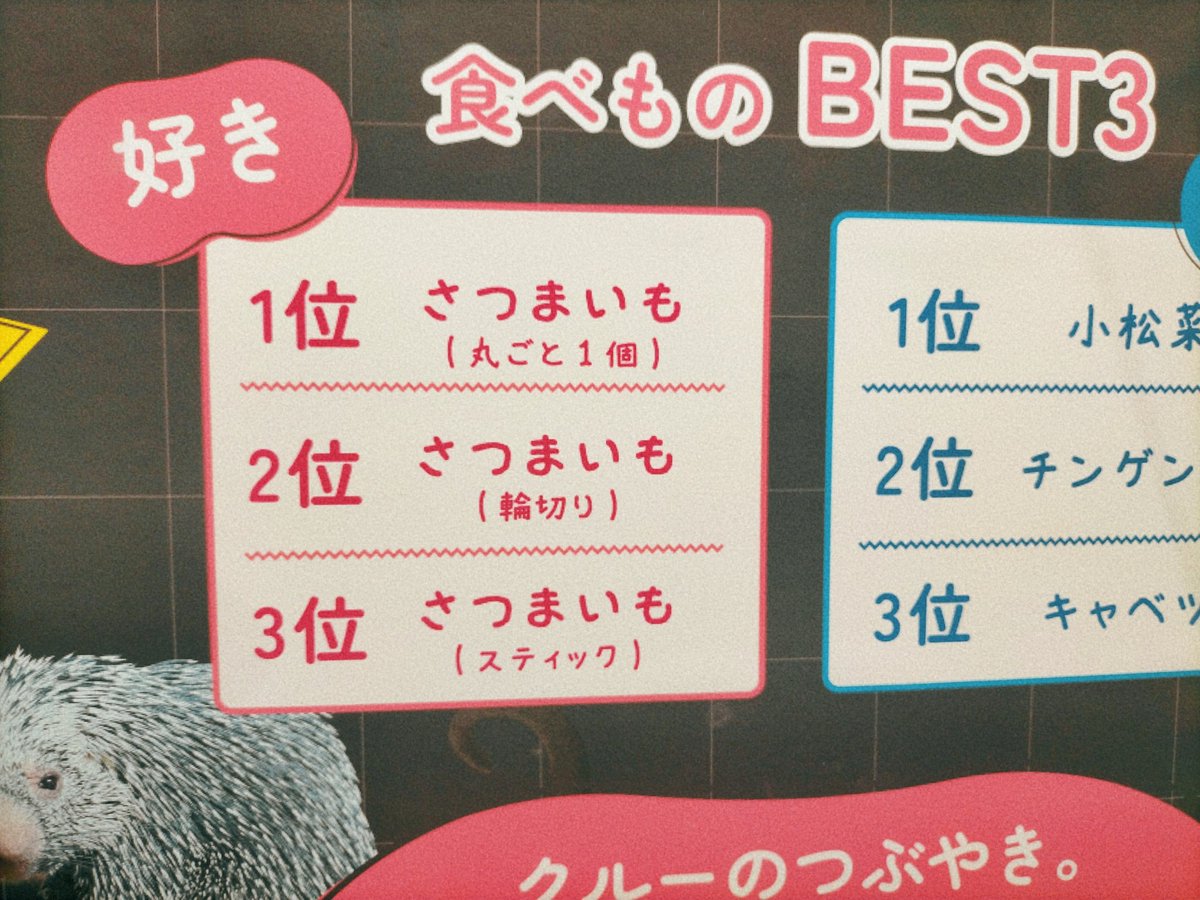 🍣🍮 tweet media