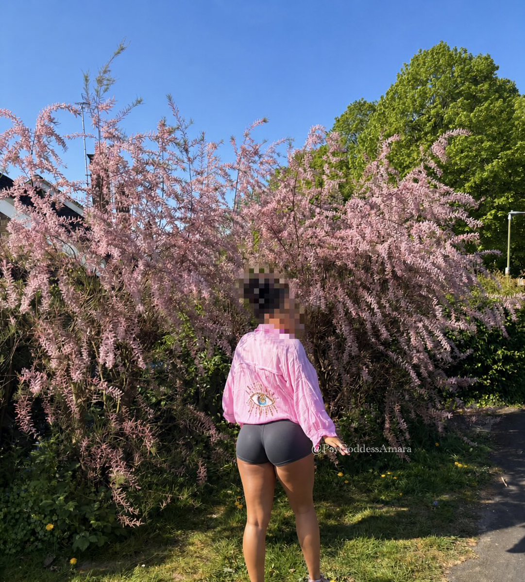 Amara 🌸🫧 Findom tweet media