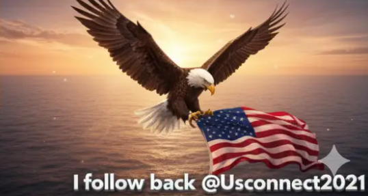 USConnect tweet media