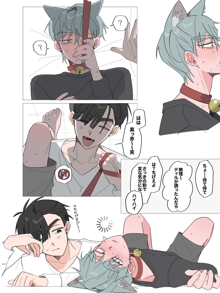 ※ tweet media