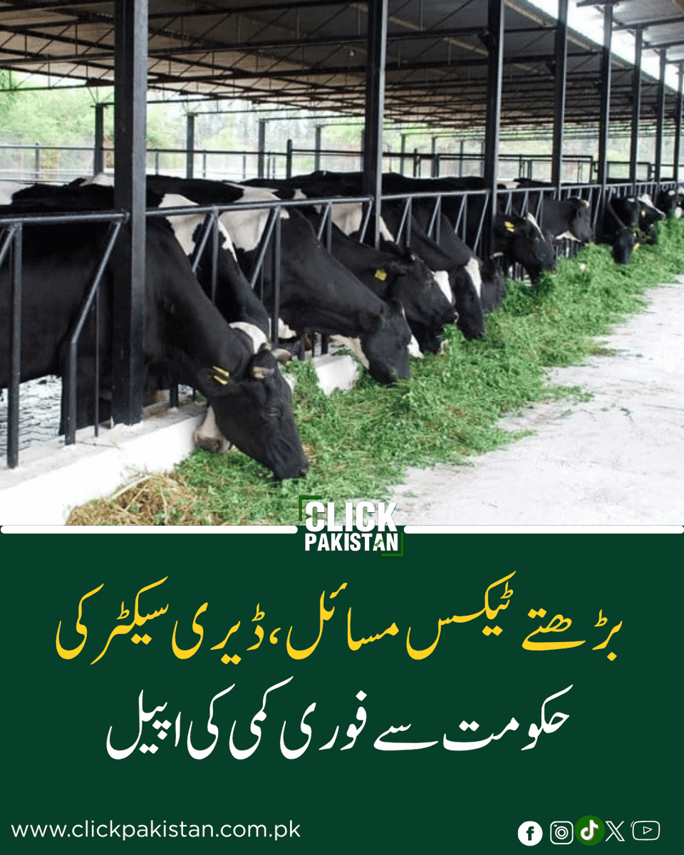 ClickPakistan1's tweet image. Pakistan’s Dairy Industry Sounds Alarm: Will Tax Burden Crush Growth or Force Reform?
Link: clickpakistan.com.pk/pakistans-dair…
#PakistanEconomy #DairyIndustry #TaxReforms #BusinessNews #GlobalInvestment