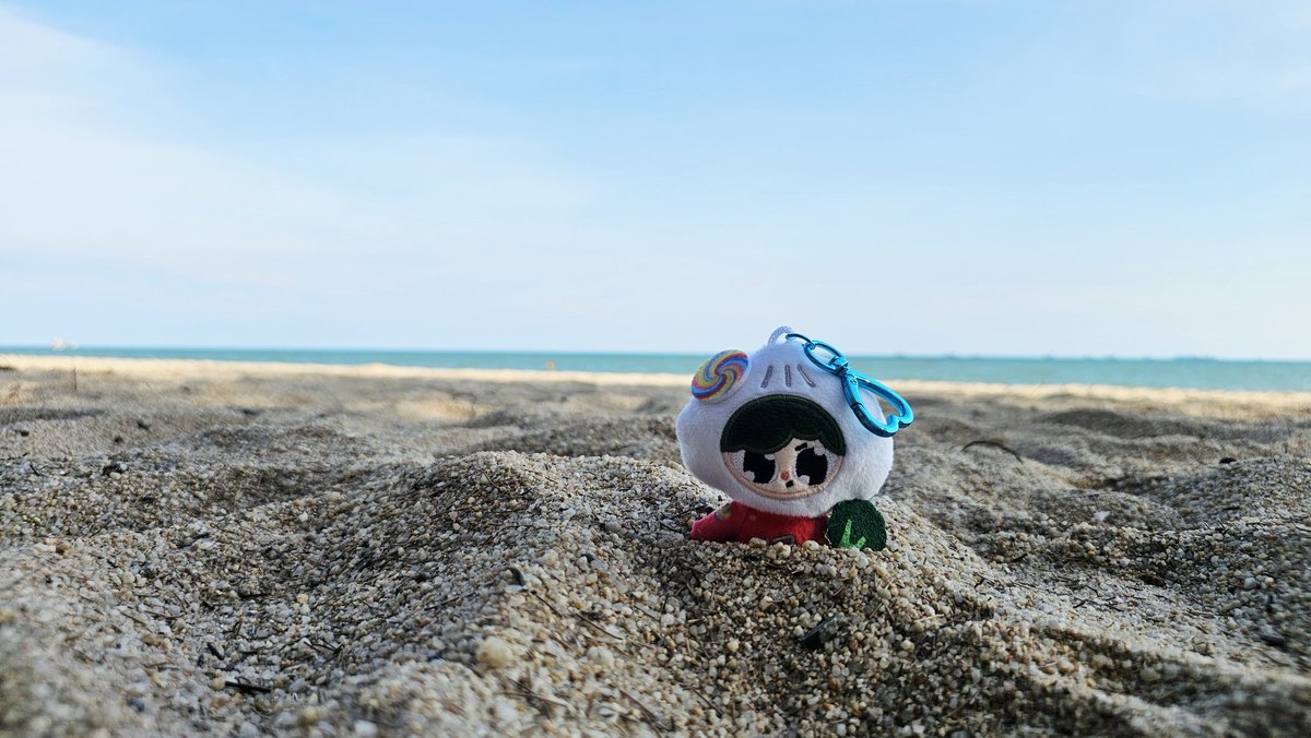 Paody in the sand &amp; sea 🌊