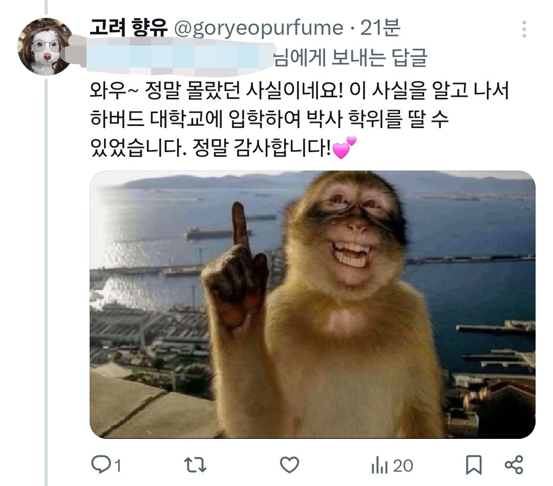 고려 향유 tweet media