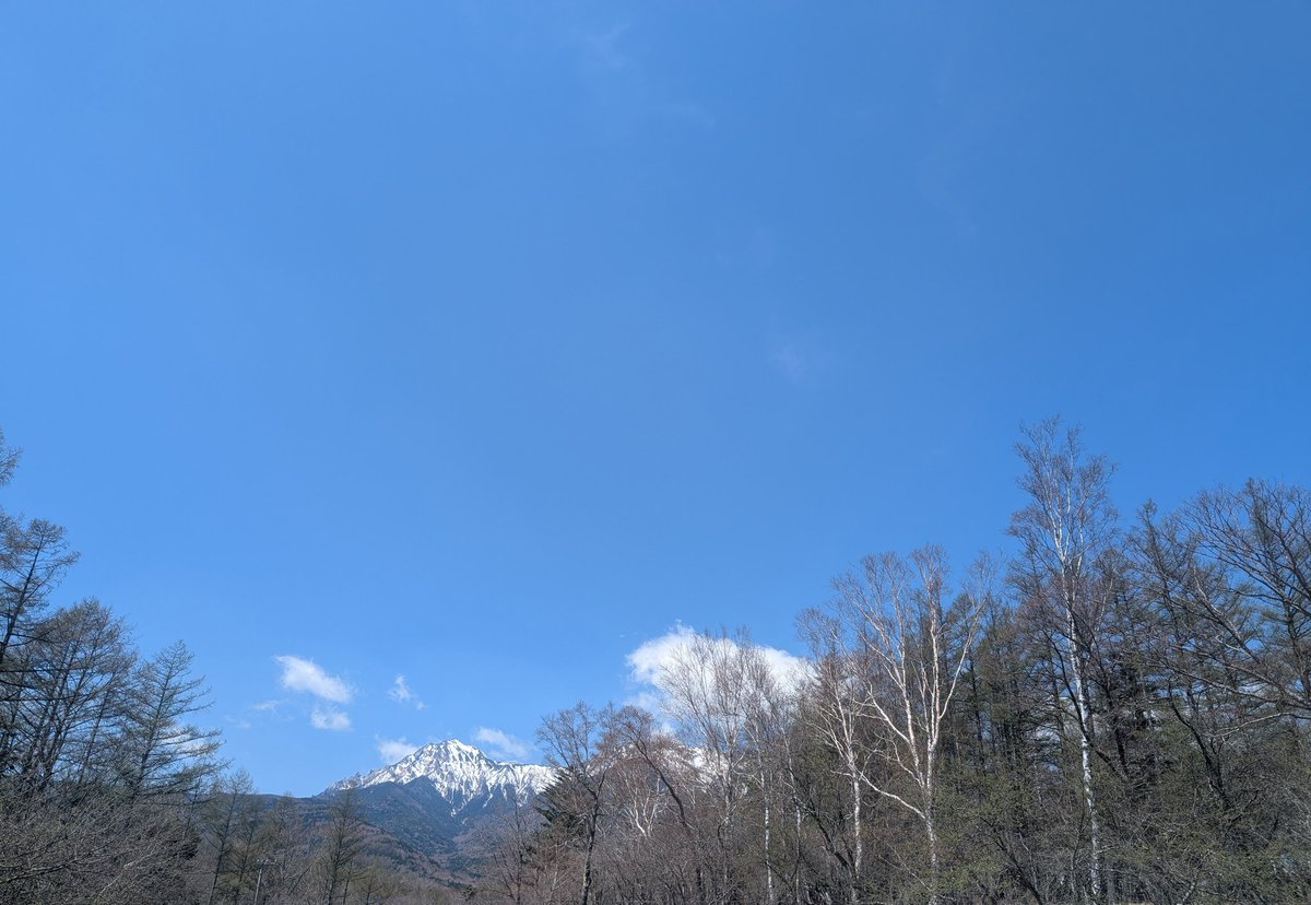 楽しかったお散歩🌳⛰️🌳
#ベイビーブー
#BabyBoo
#べびトラ
#朝散歩